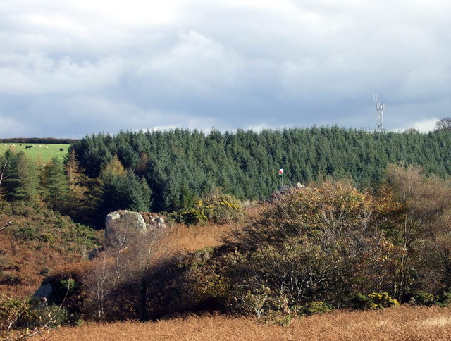 ceridwen / Salute to a Welsh hero above Treffgarne gorge