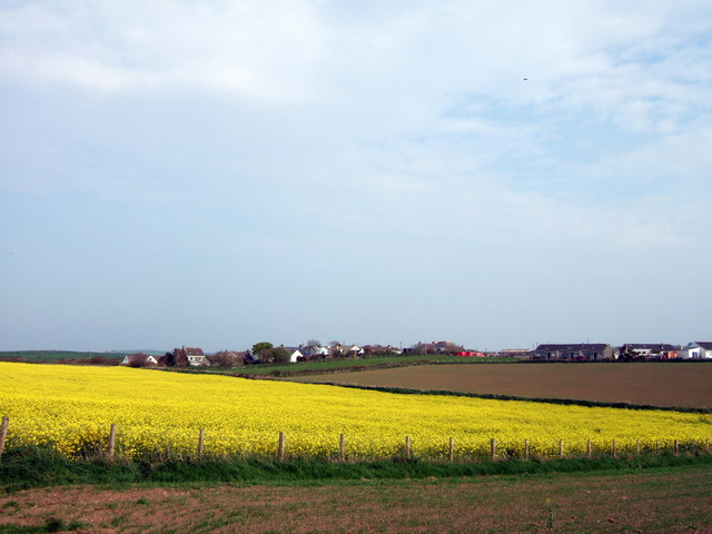 ceridwen / Trefin skyline