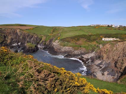 Trefin cliffs