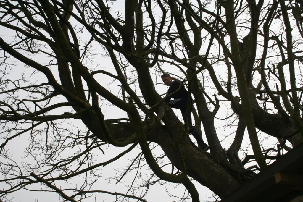 Stoere spelletjes: boomklimmen - Tough games: tree climbing